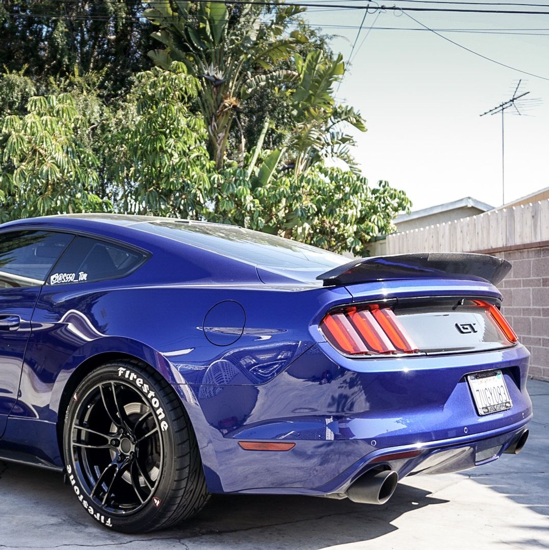 Profile of Timothy Tucker