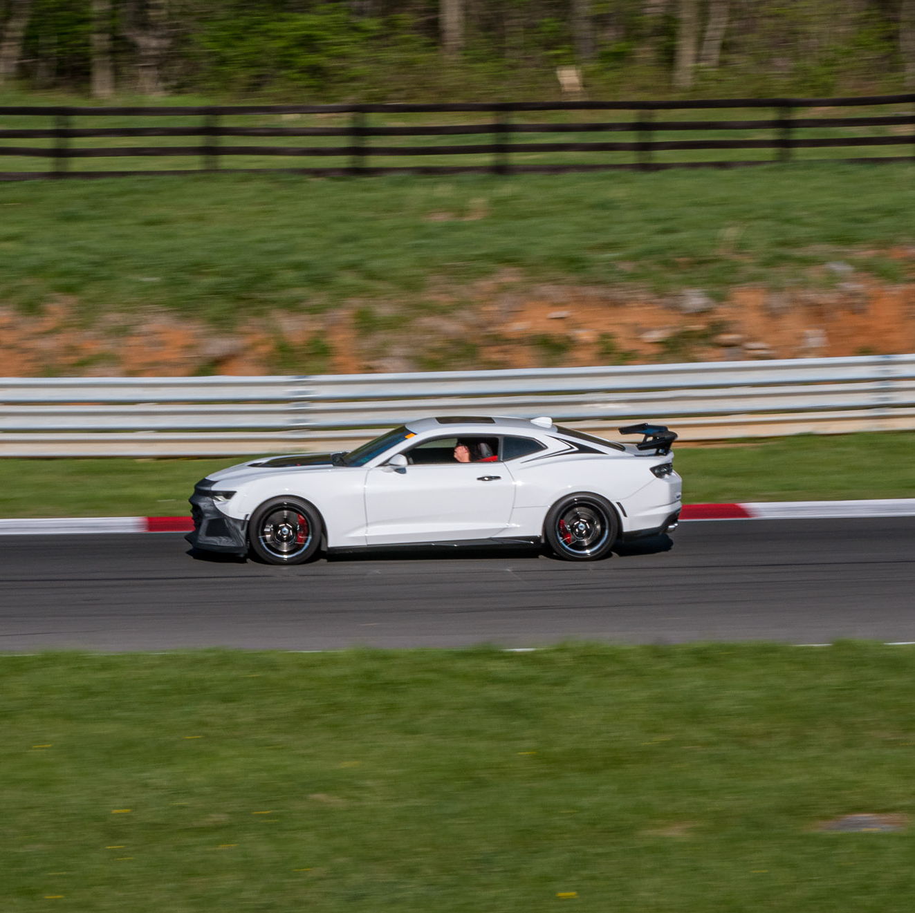 Profile of Cathy Palmer