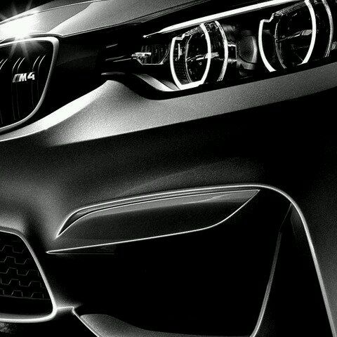 Profile of Carlos Rodriguez