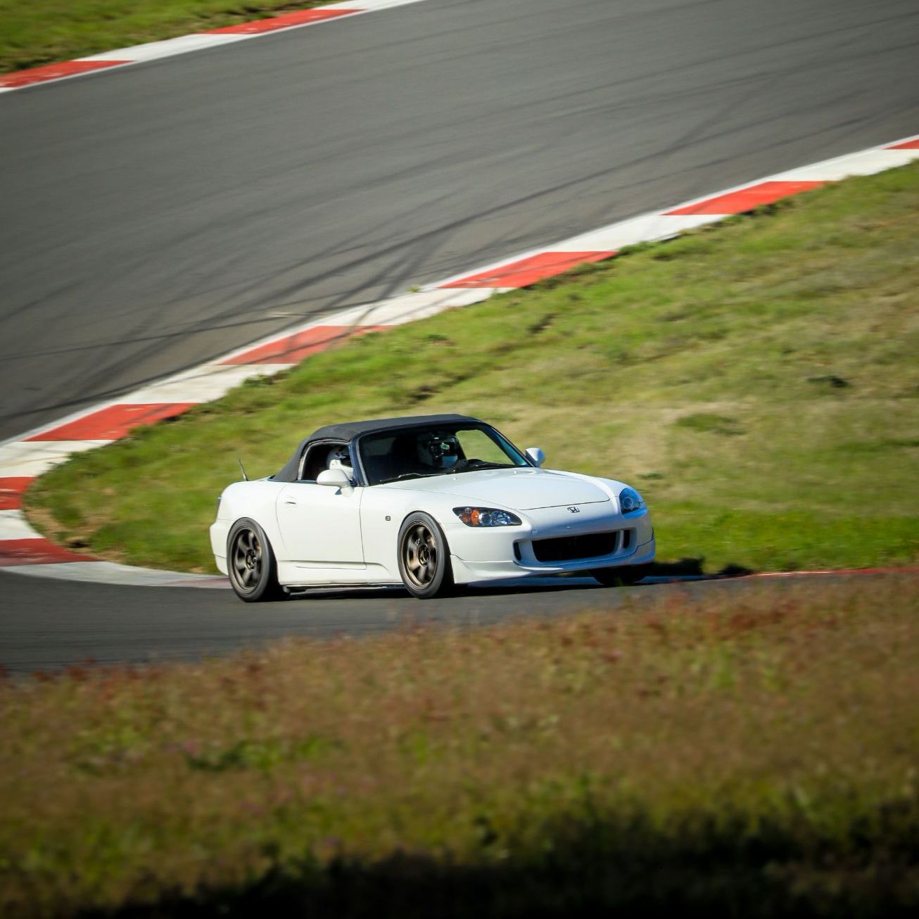 Profile of Vladislav Guba