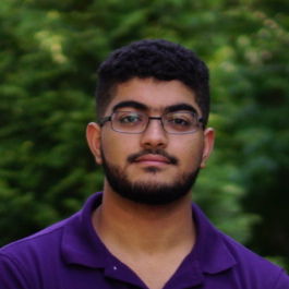 Profile of Mahmoud Fayed