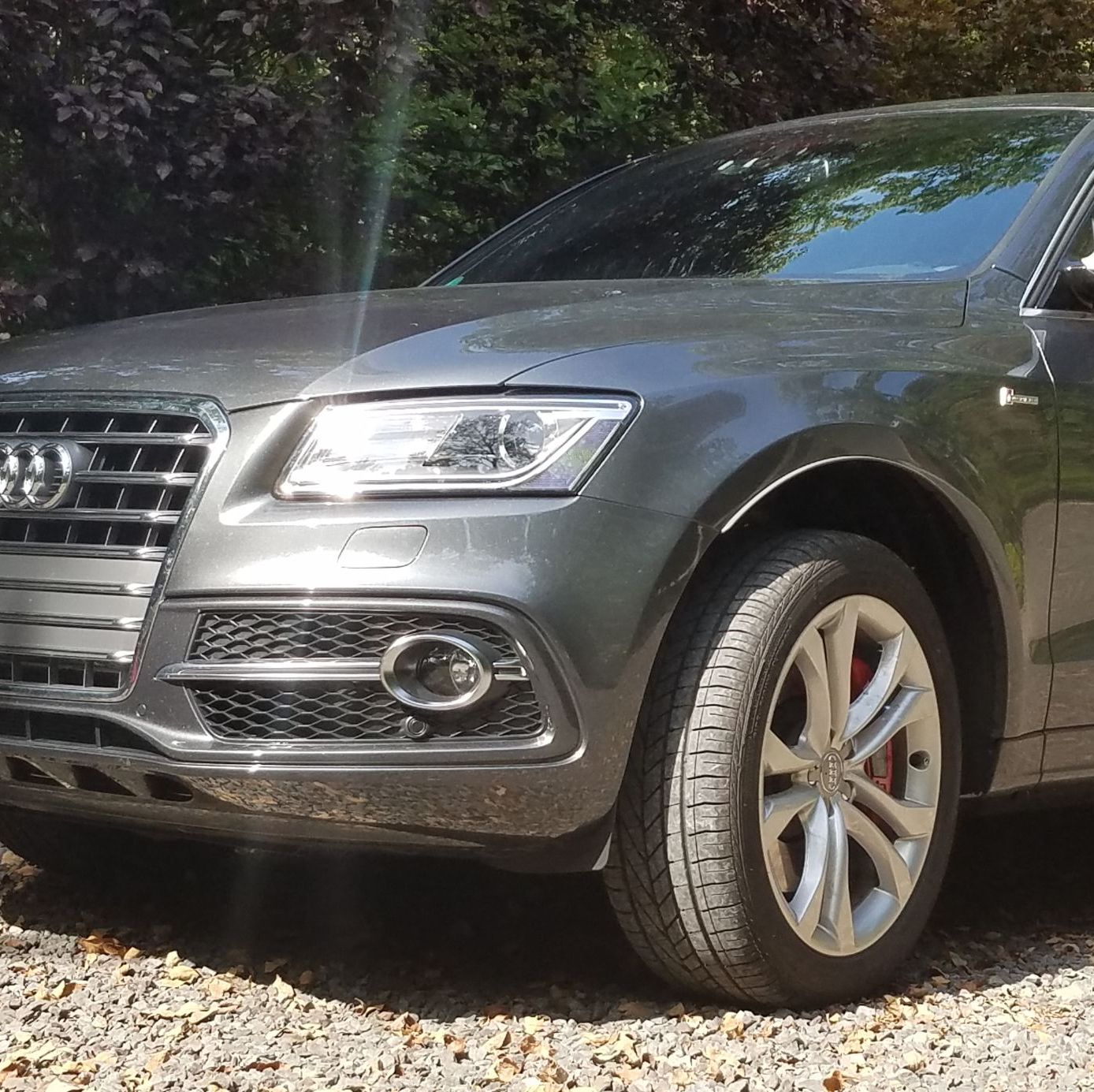 Profile of David McLeod