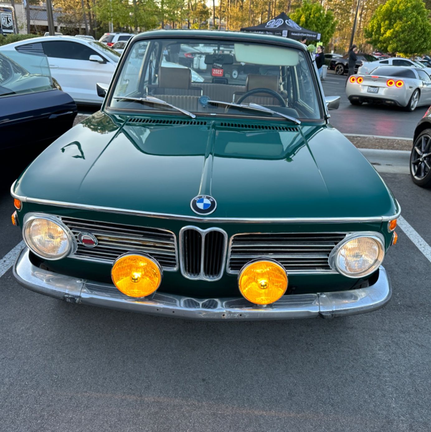 Profile of David Borasky