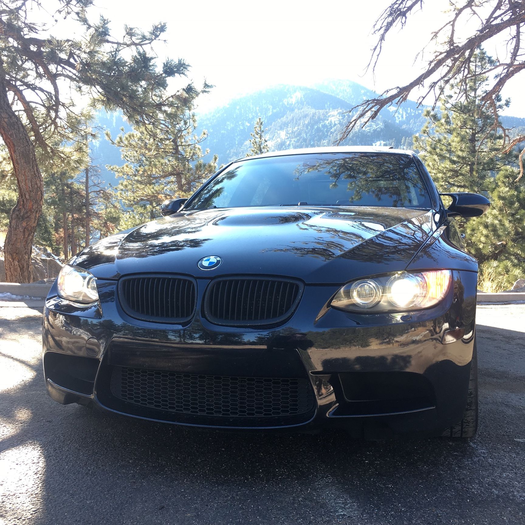 Profile of Collin Adair