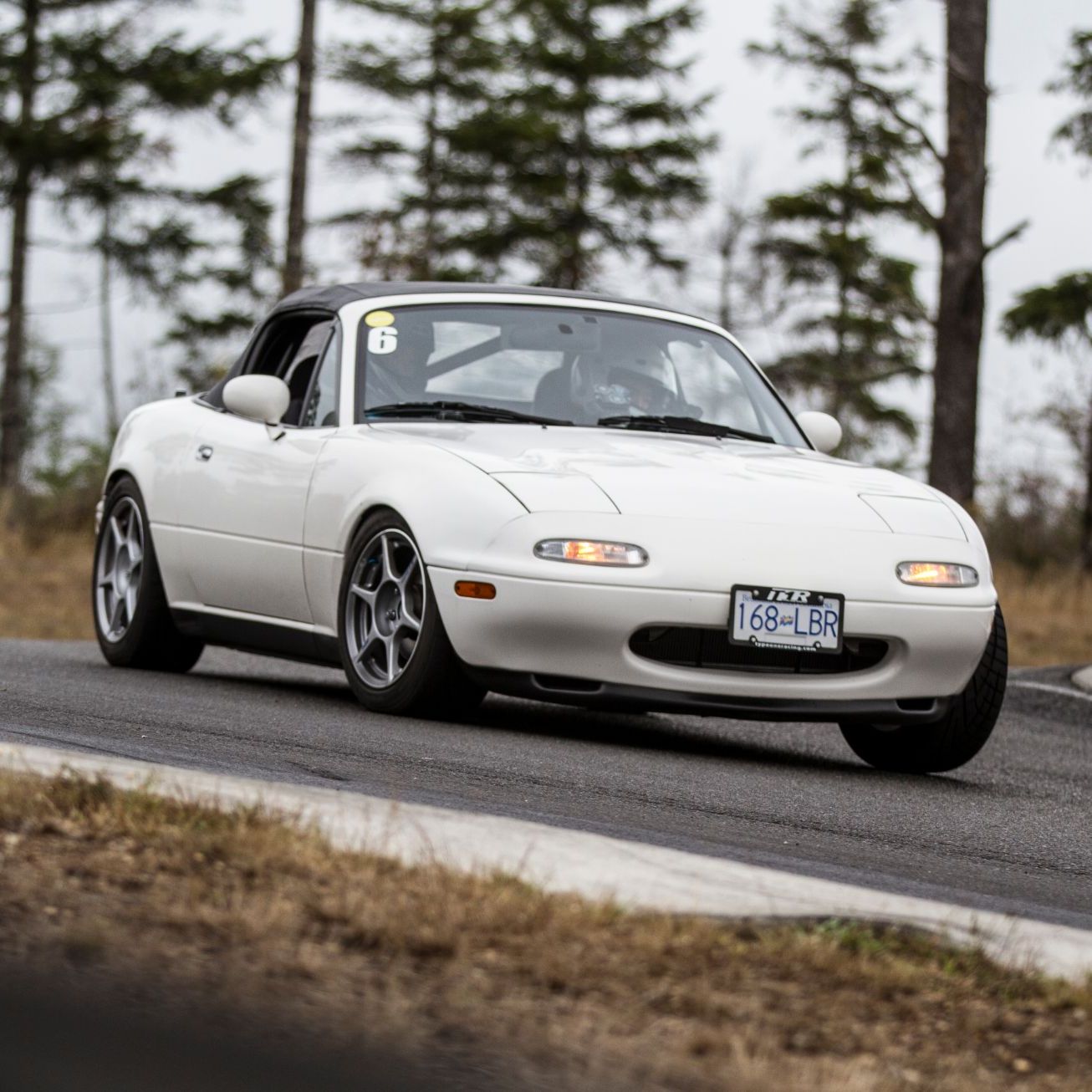 Profile of Ying Bong YAU