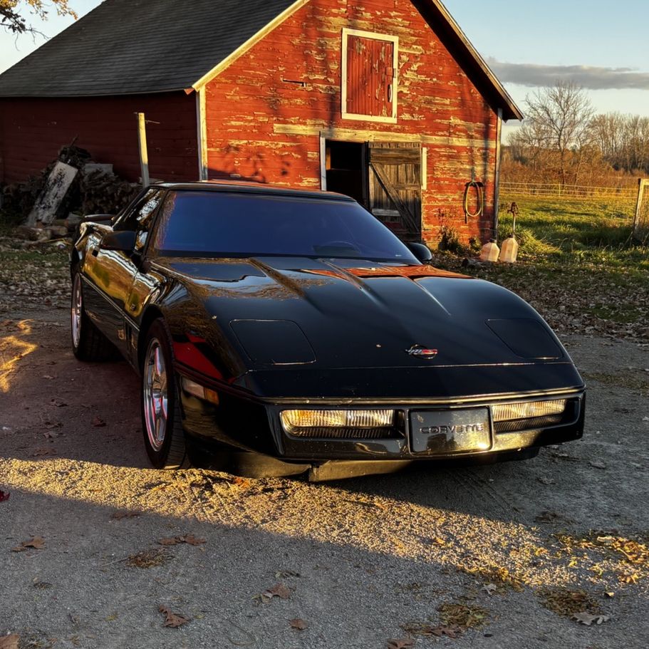 Profile of Todd VanDenHeuvel