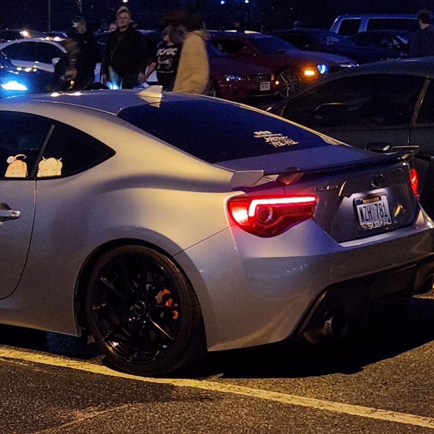 Profile of Nicholas Gamble