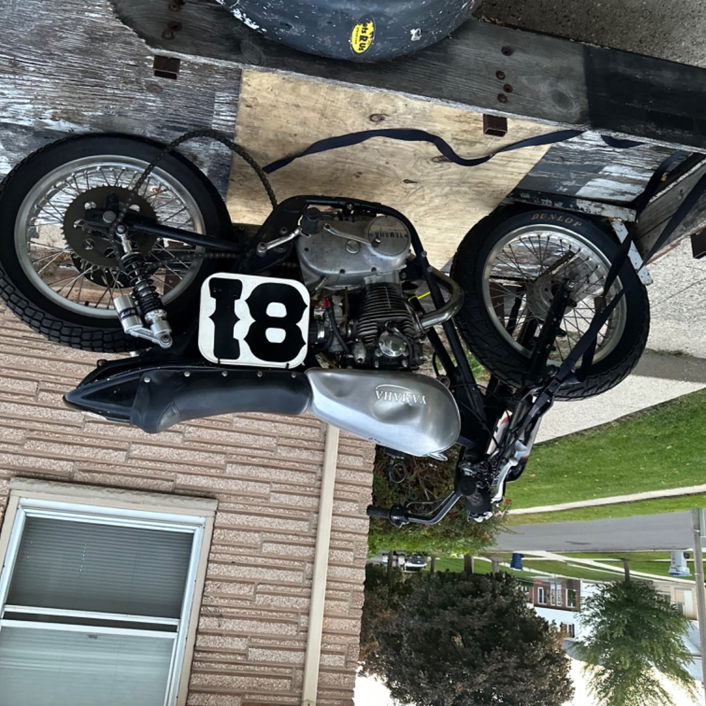 Profile of Mark Martinich