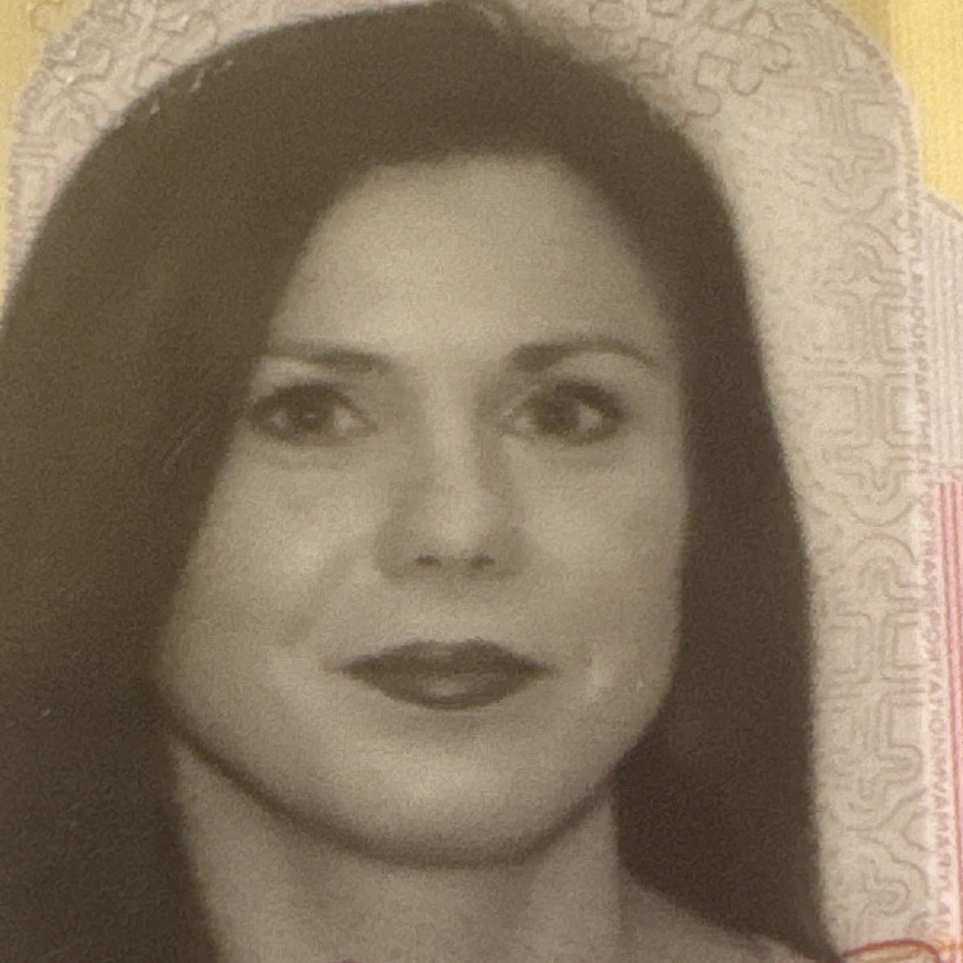 Profile of Jennifer Ferracane