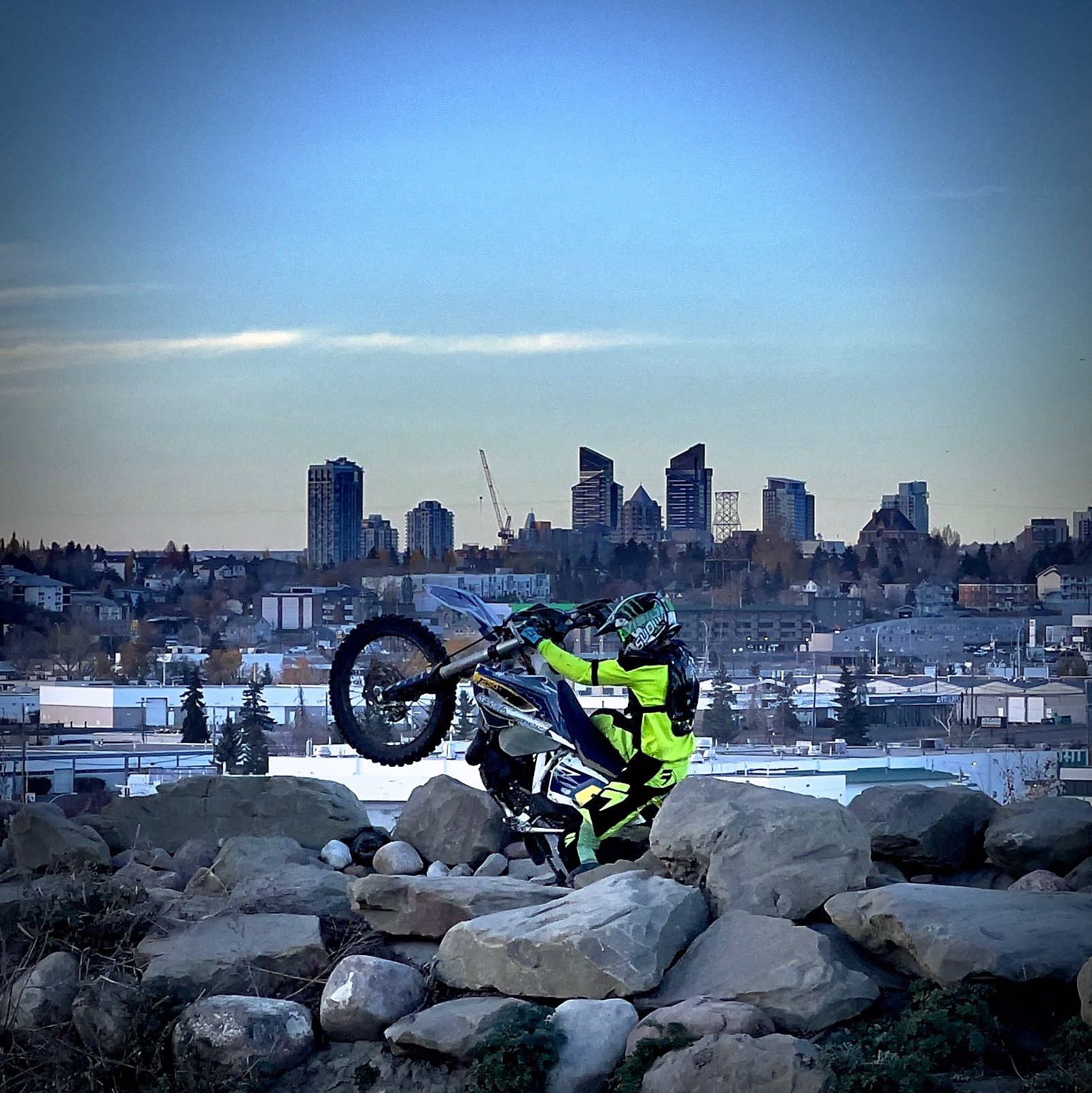 Profile of Tyler Plum