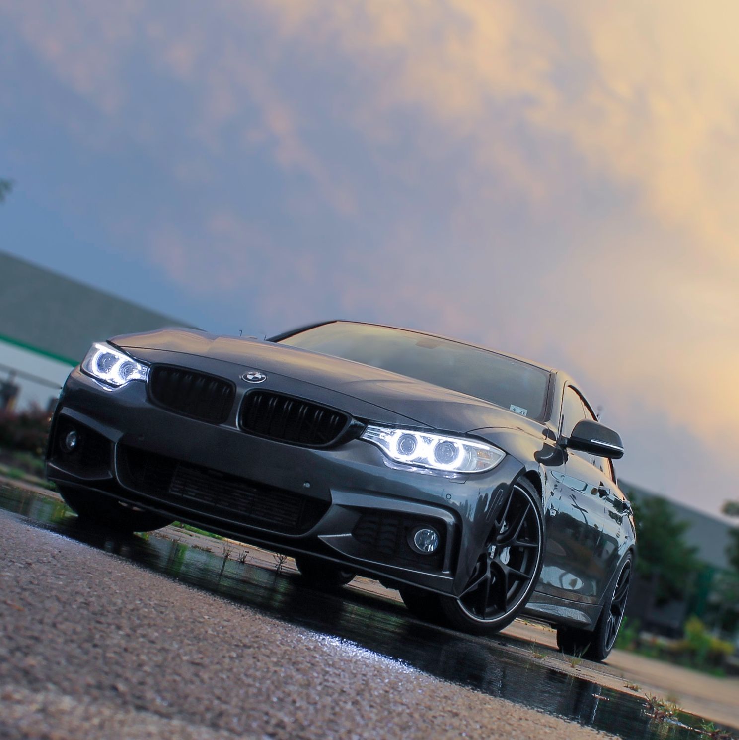 Profile of Cesar Villarreal