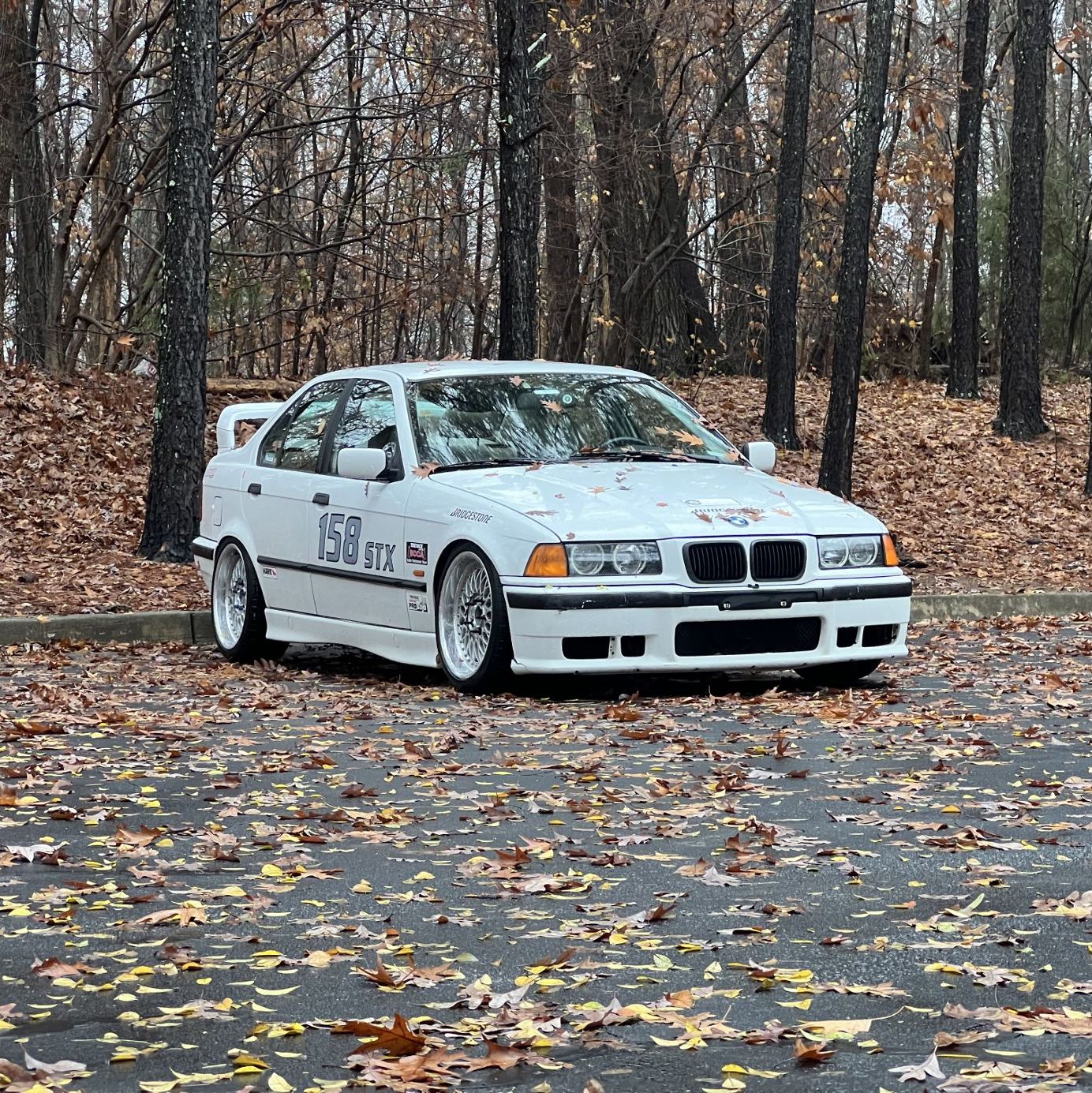 Profile of Ally Matyac