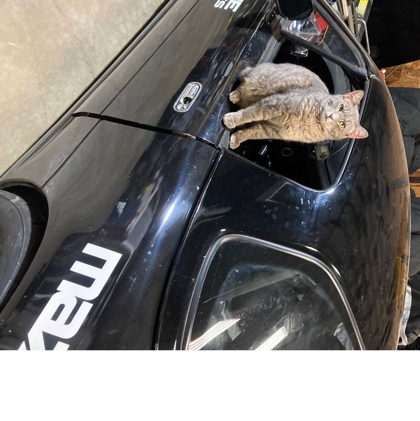 Profile of Gregory Zydyk