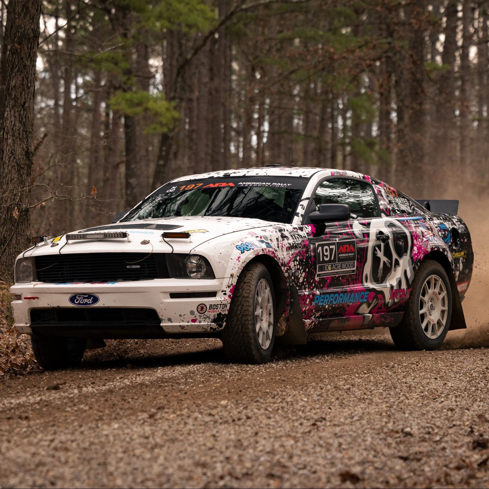 Profile of Daniel Hayes