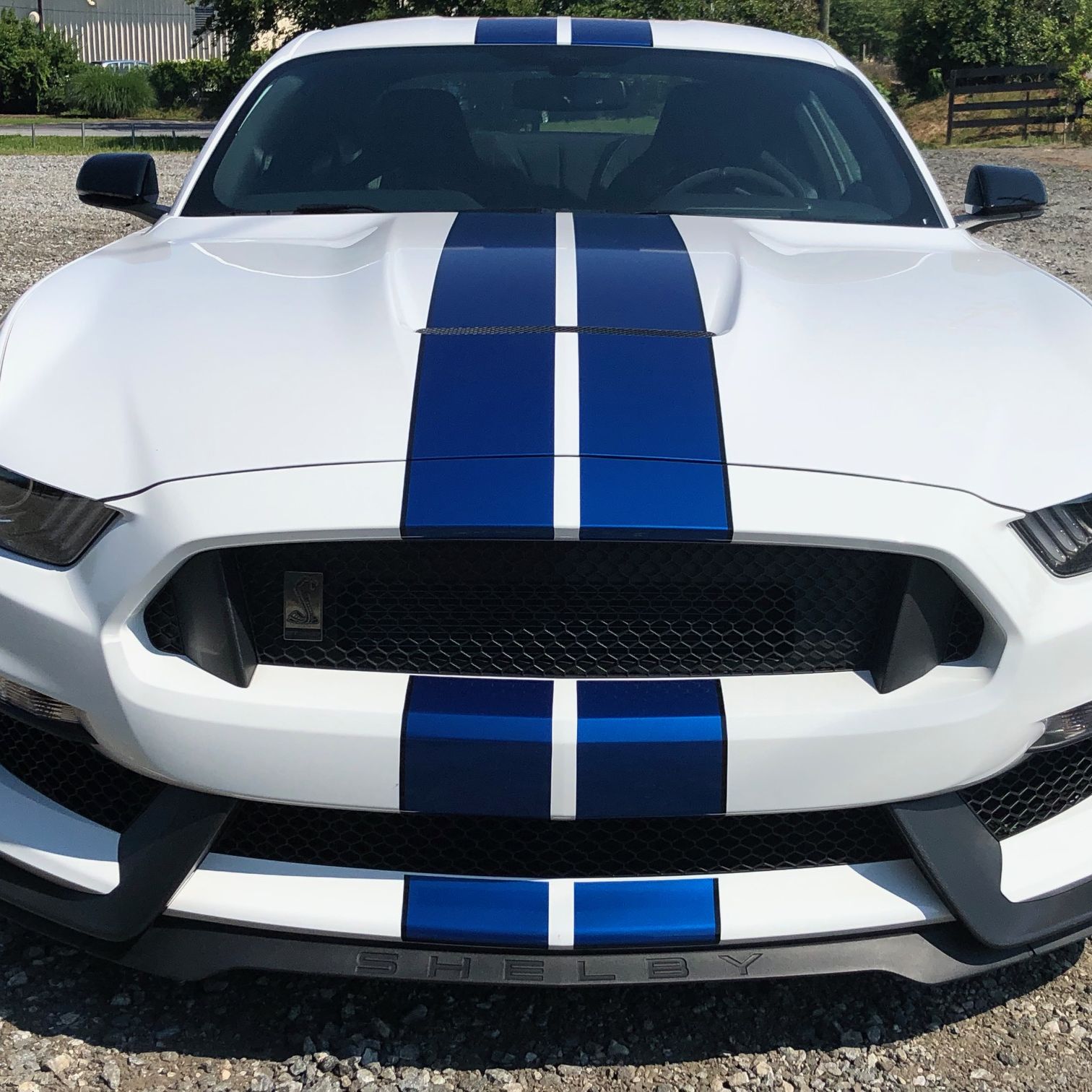 Profile of Steven Goldstein