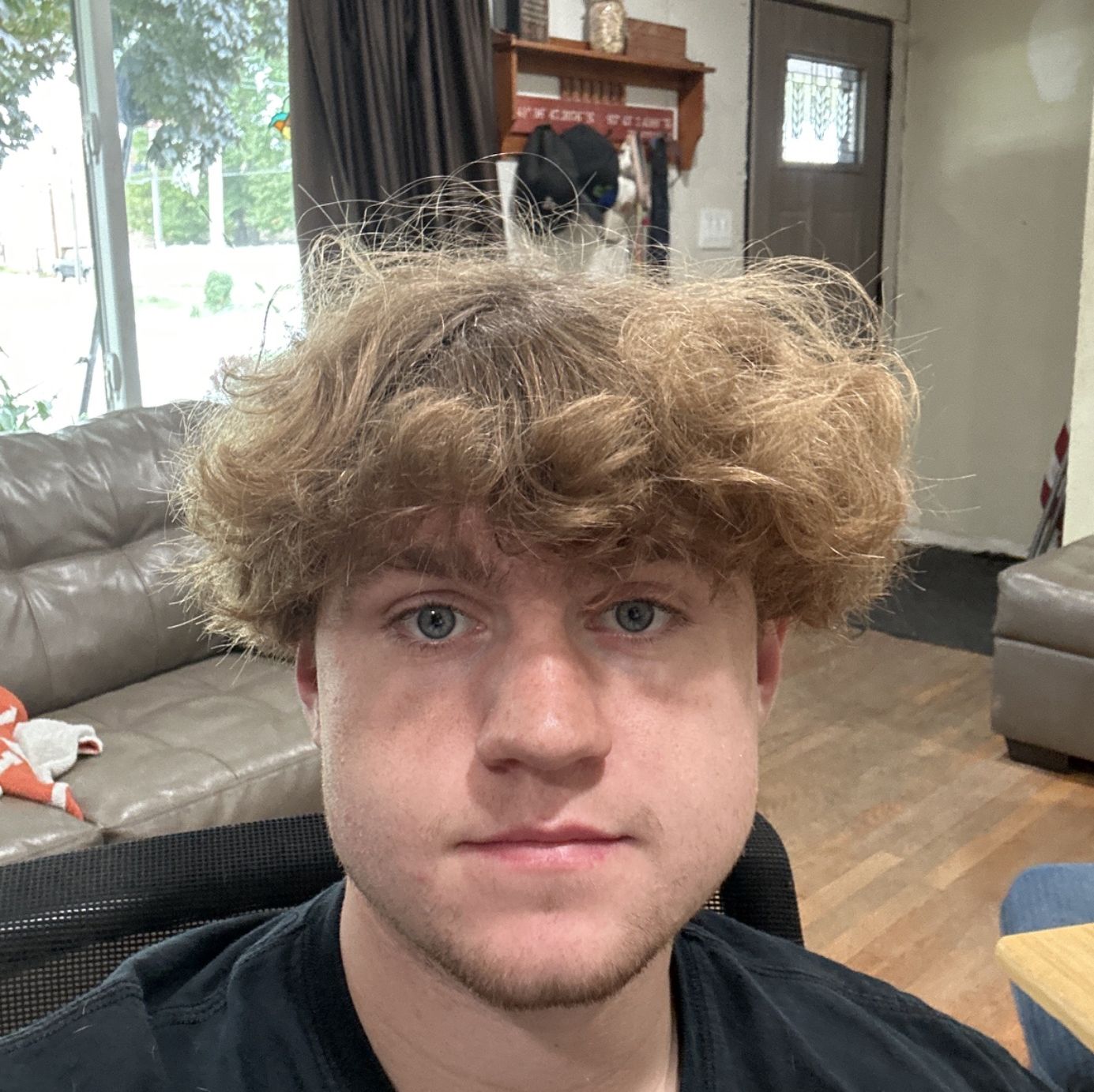 Profile of Collin Scott