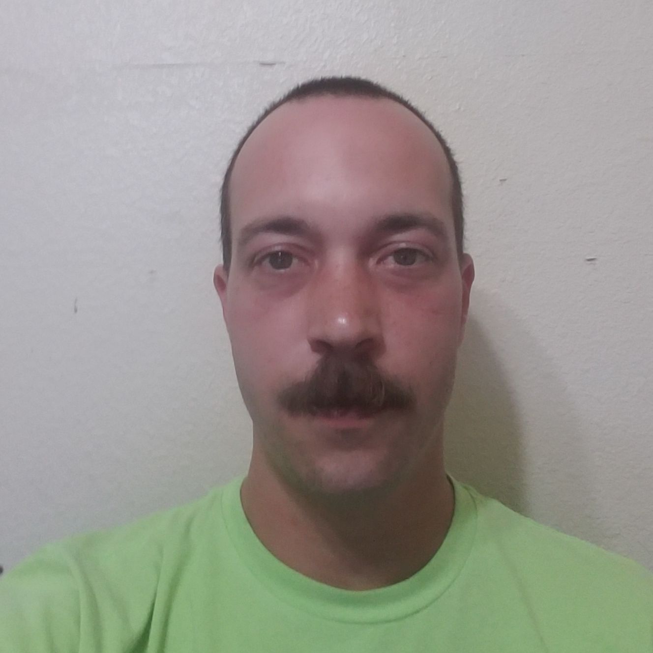 Profile of Chris Bellamy