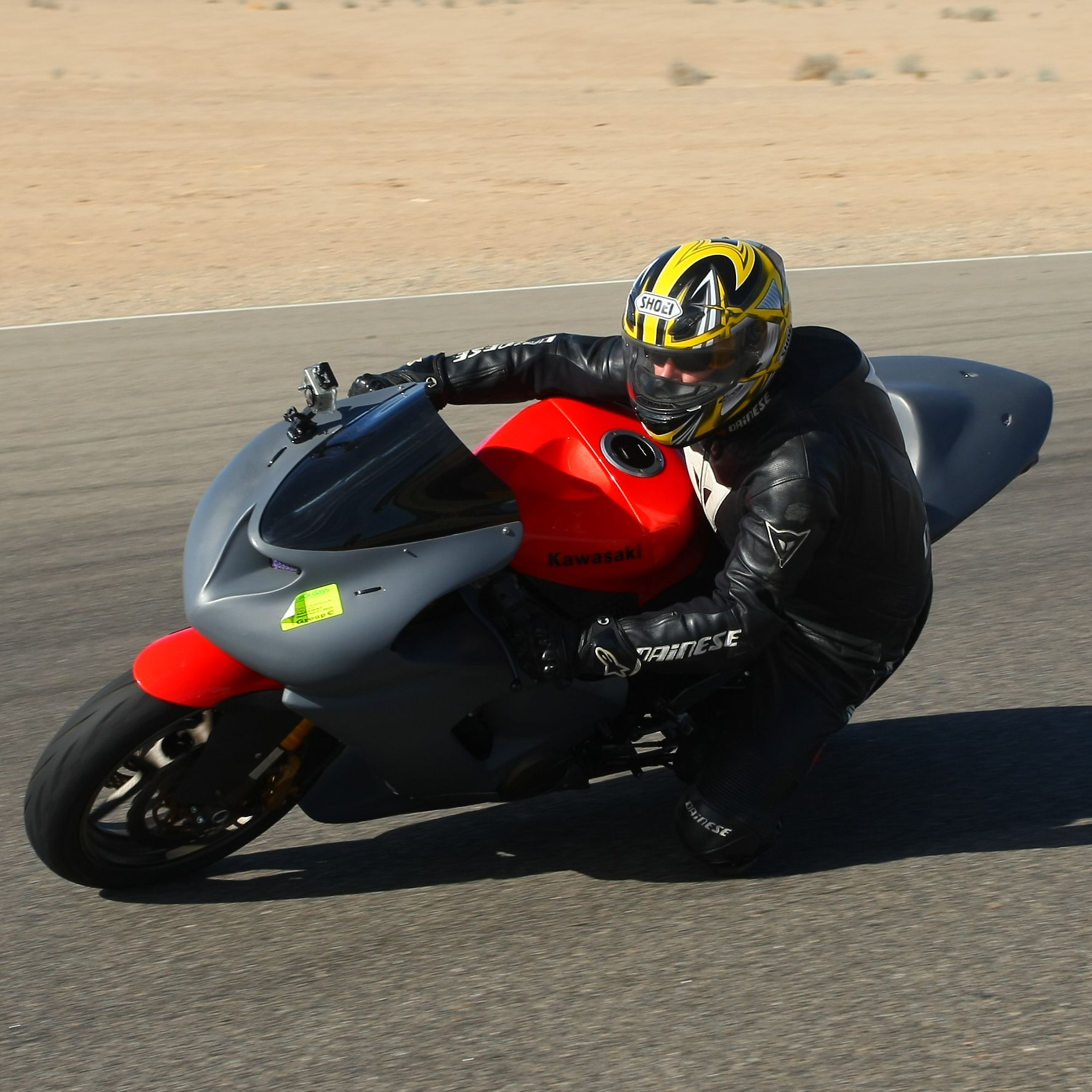 Profile of Robert Leon