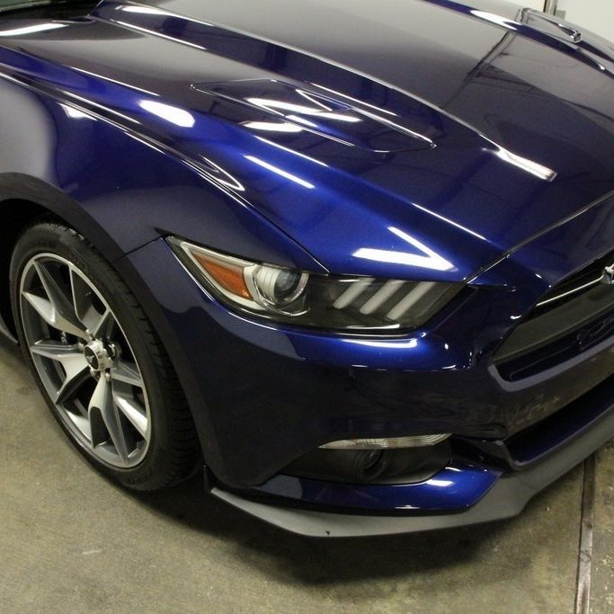 Profile of William Eldredge