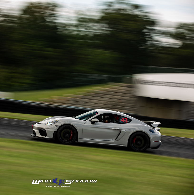 Profile of Lana Alwari