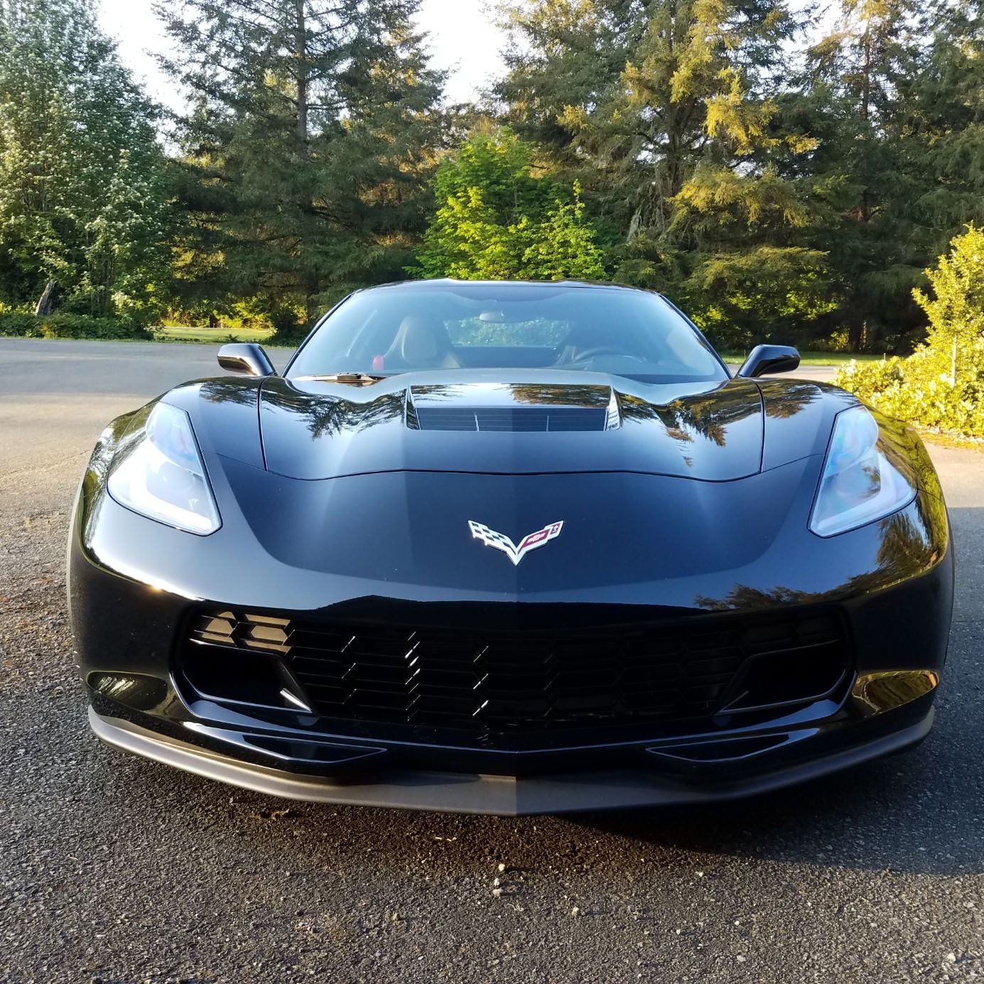 Profile of Stacey Molleker