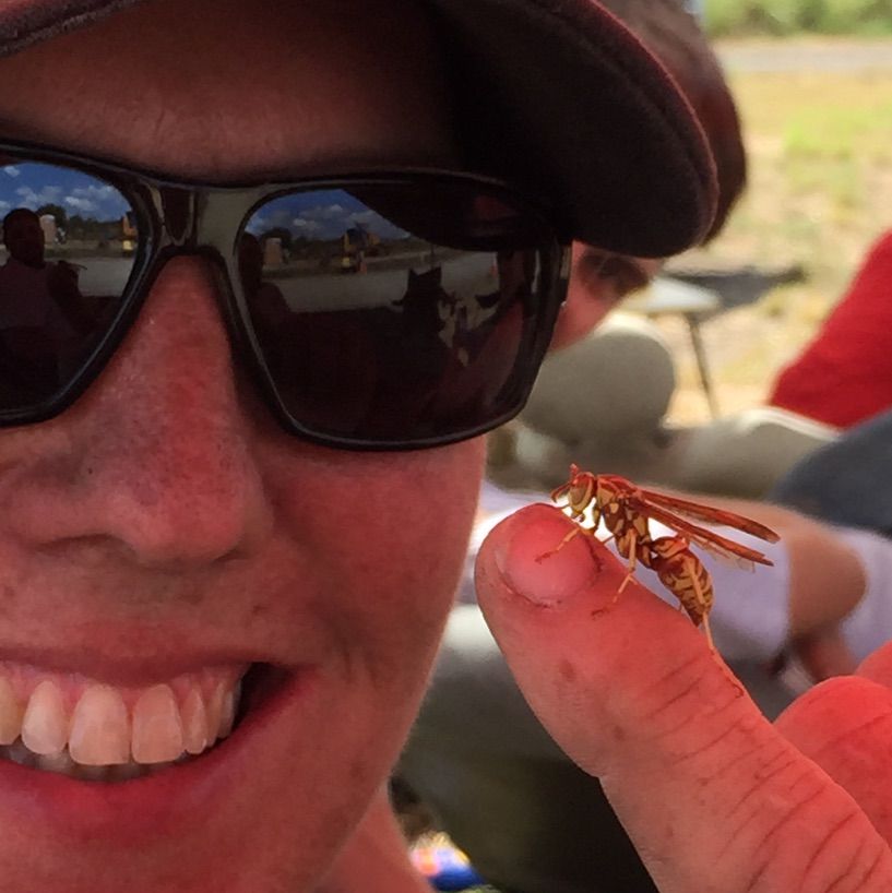 Profile of Brianne Corn