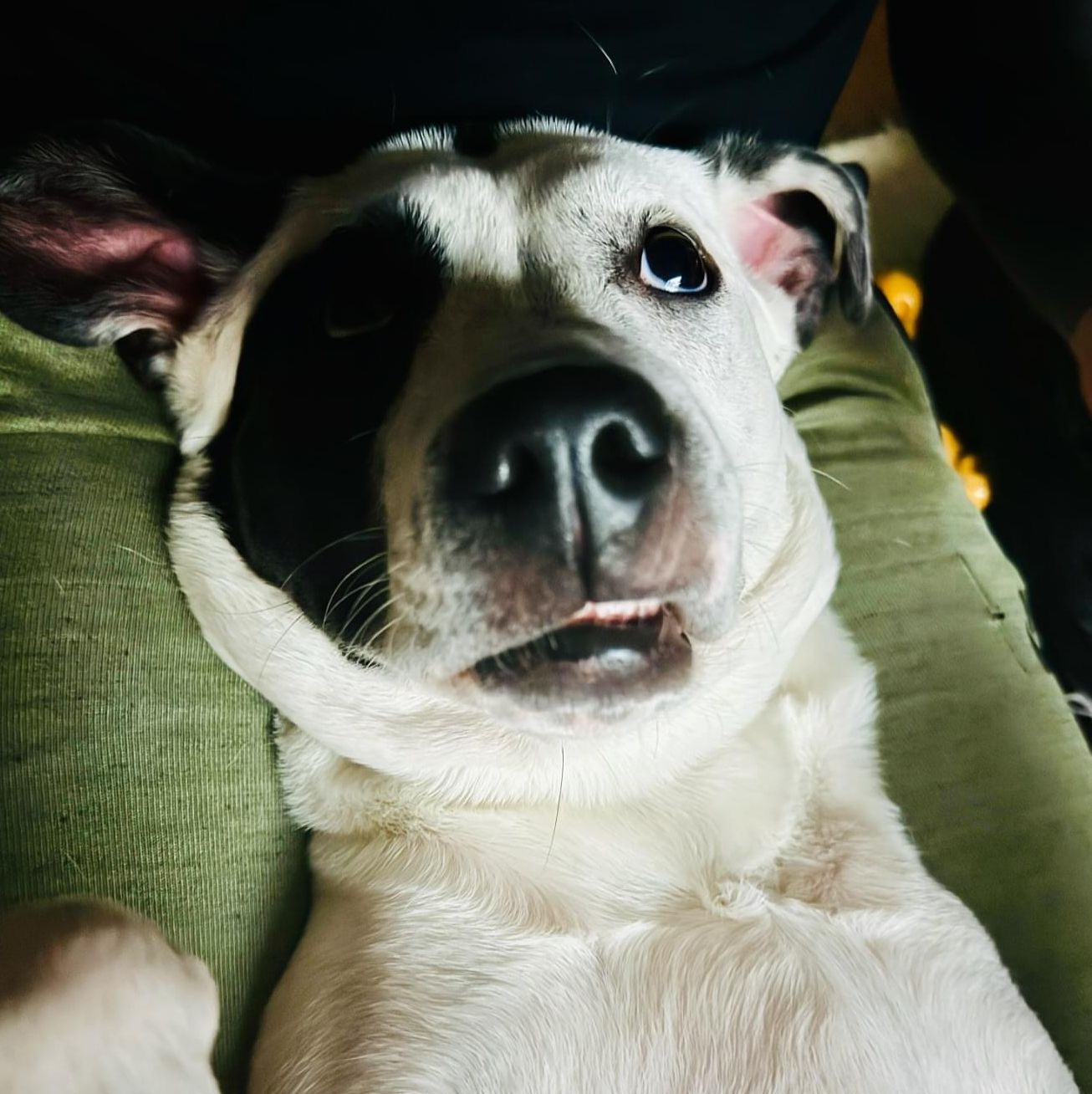 Profile of Edward Risley