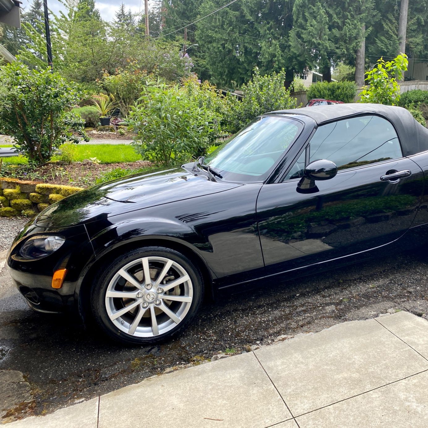 Profile of Chad Lewis