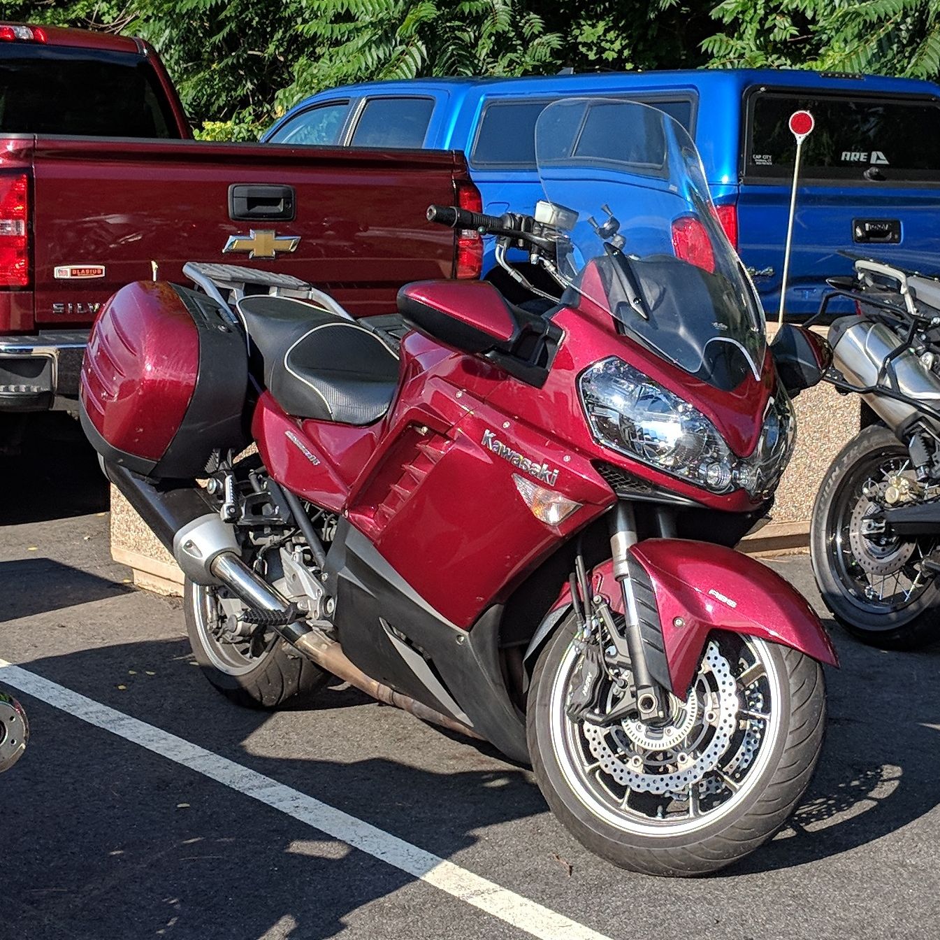 Profile of Daniel Echegoyen