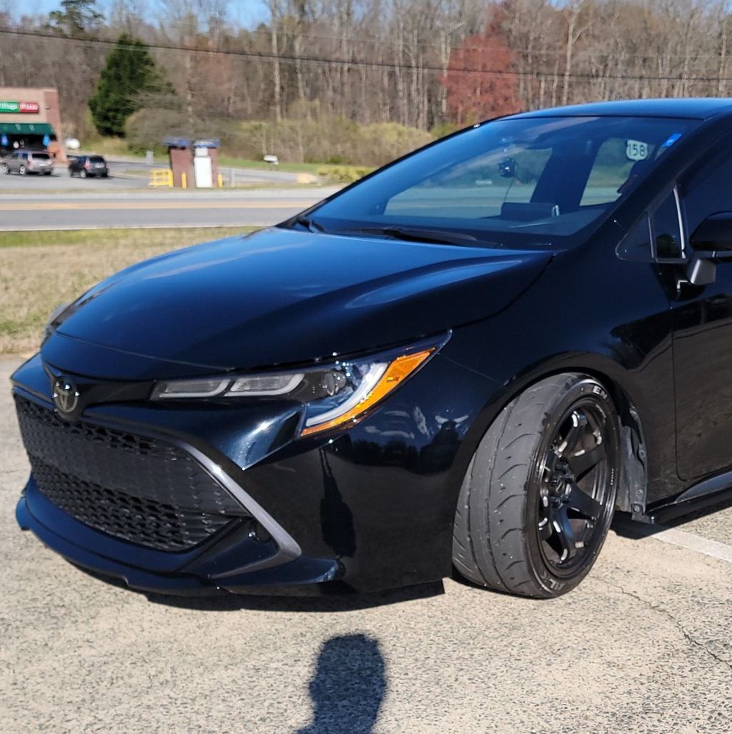 Profile of Lisa Simmons