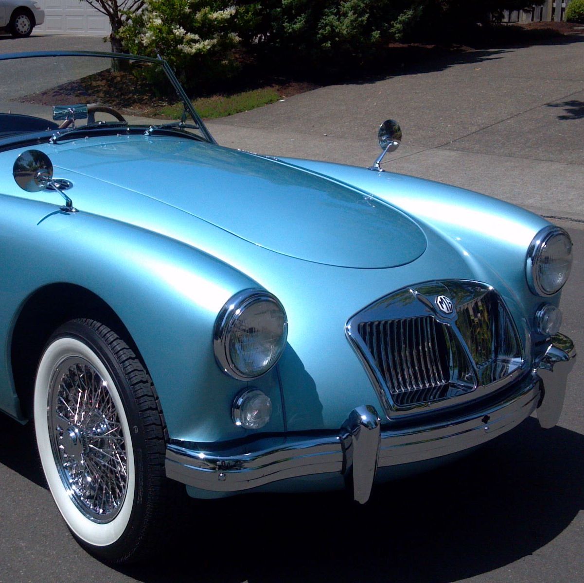 Profile of Ken Madden