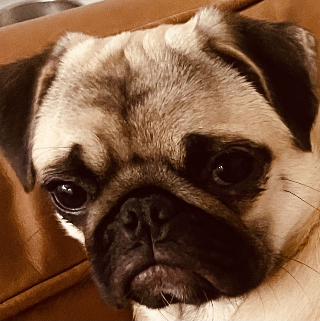 Profile of Enrique Vargas