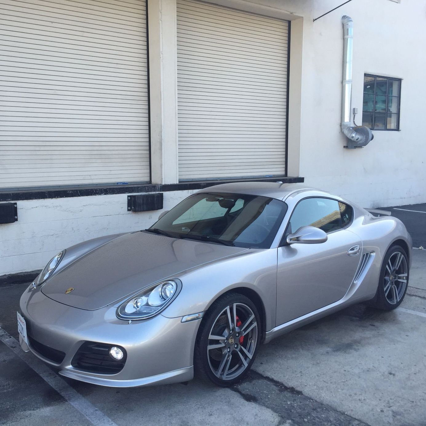 Profile of Matt Buckley