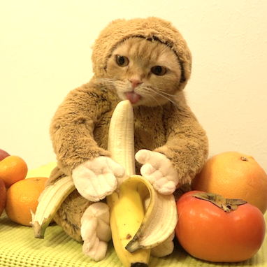 Profile of Anna-Katherine Johnston