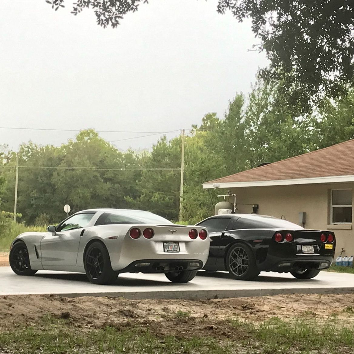 Profile of David Alexander