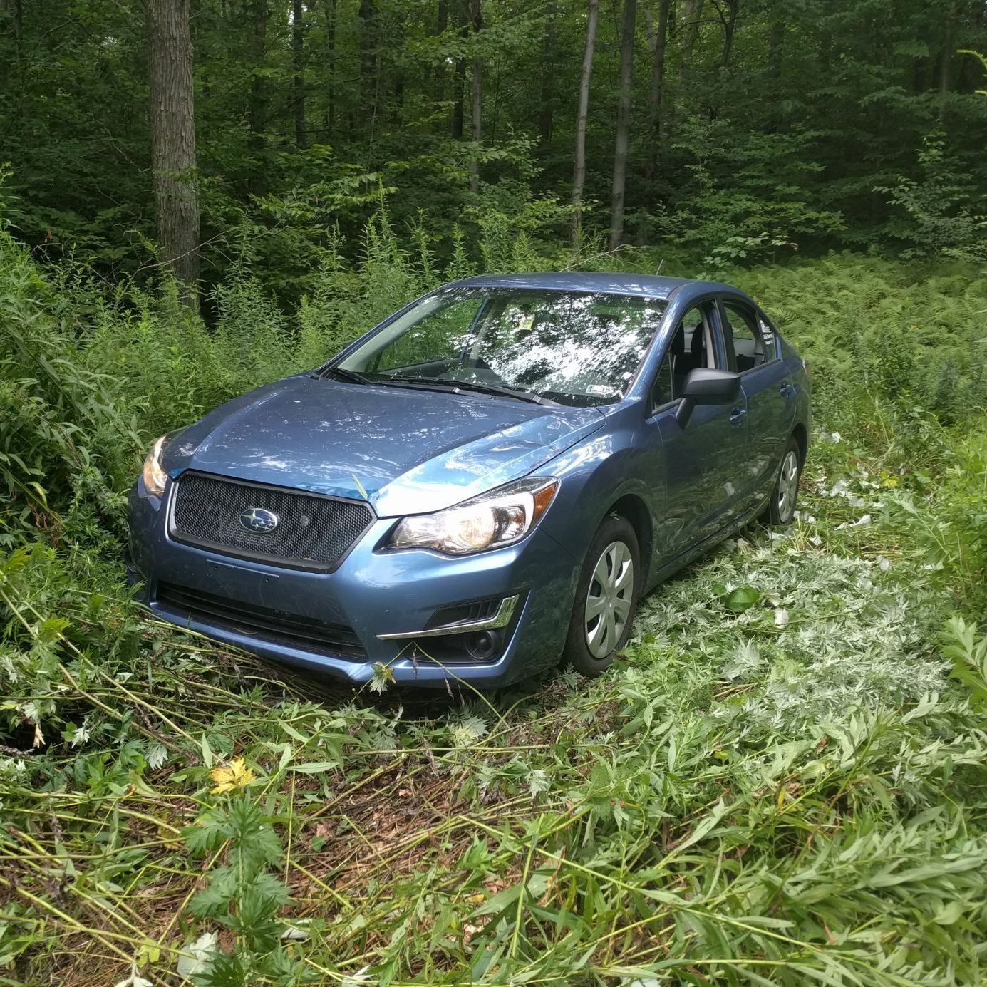 Profile of Dean Corcoran