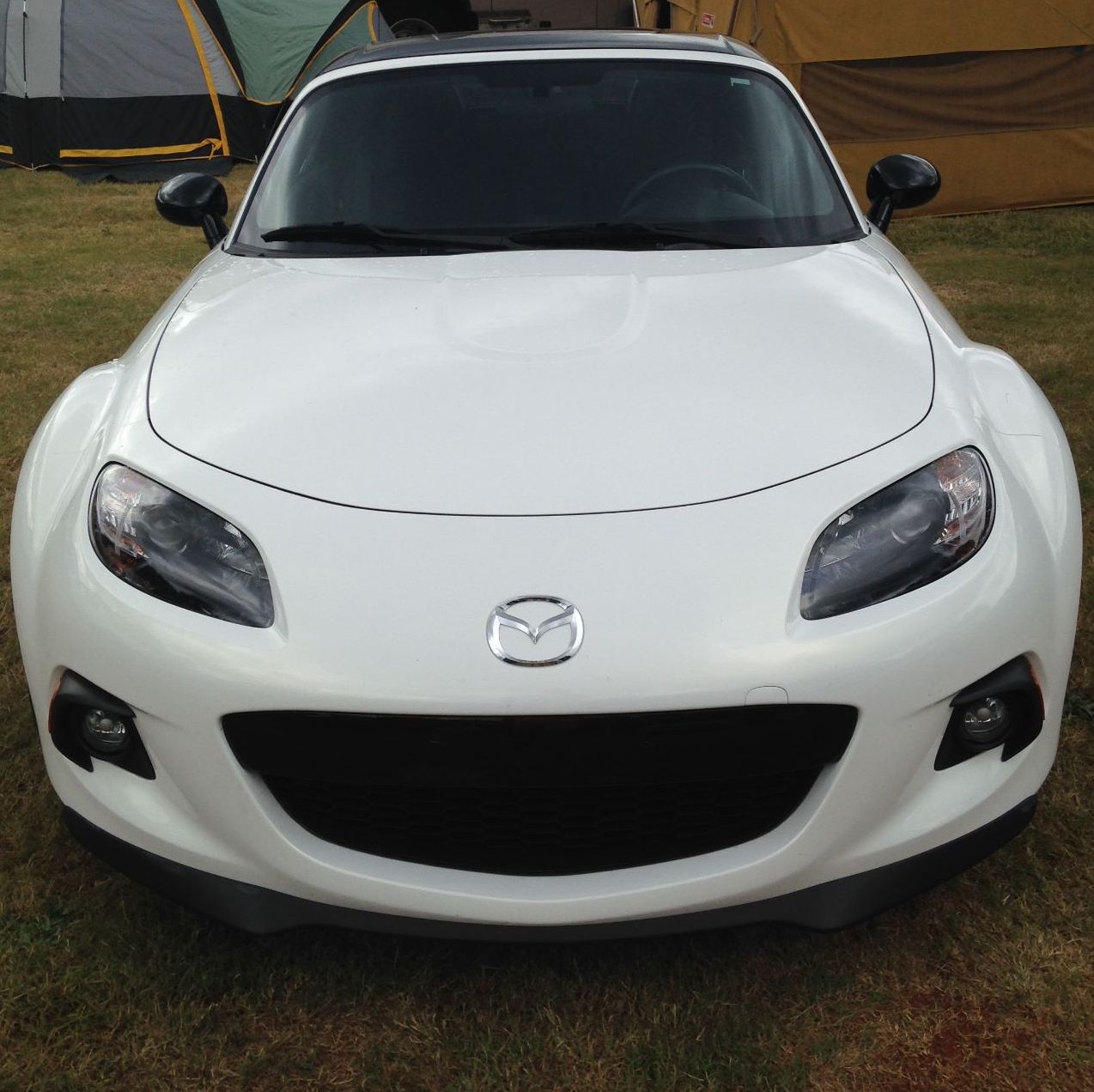 Profile of Richard May