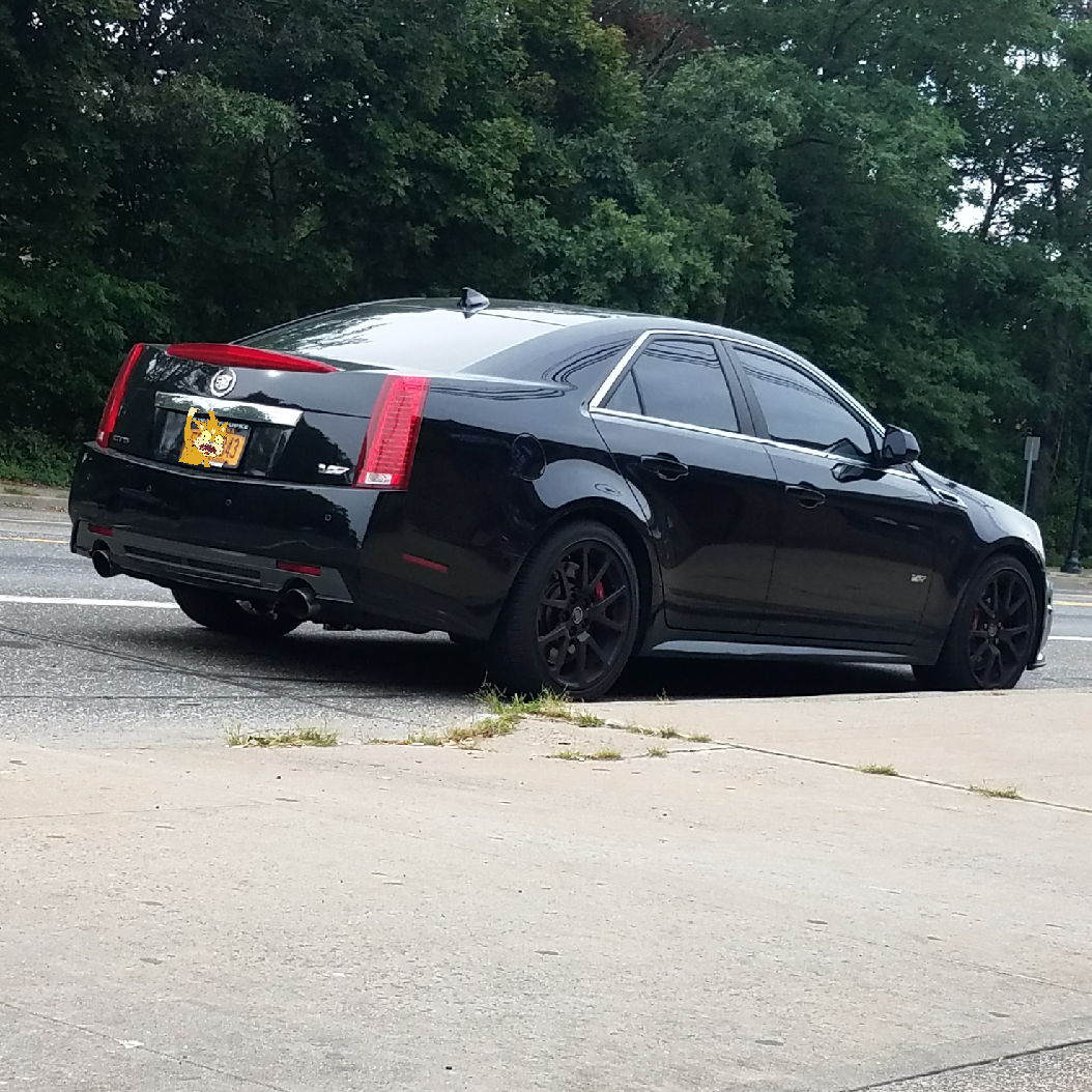 Profile of Travis Jorgensen