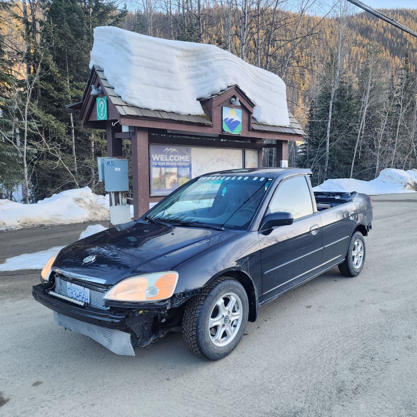 Profile of Dale Kitto