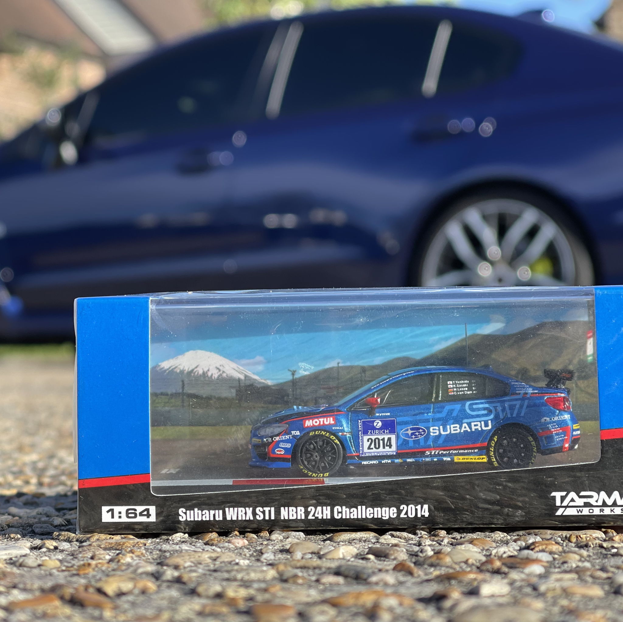 Profile of Nestor Aquino