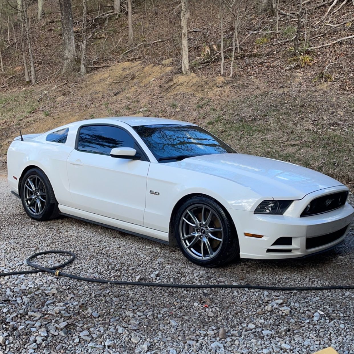 Profile of Myles Gribble