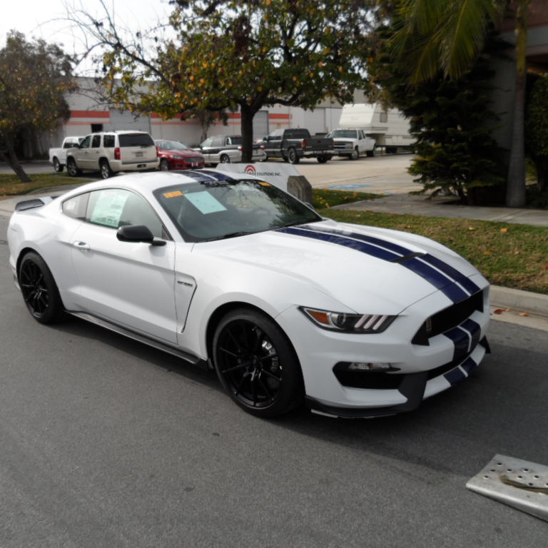 Profile of Sandy Galbraith