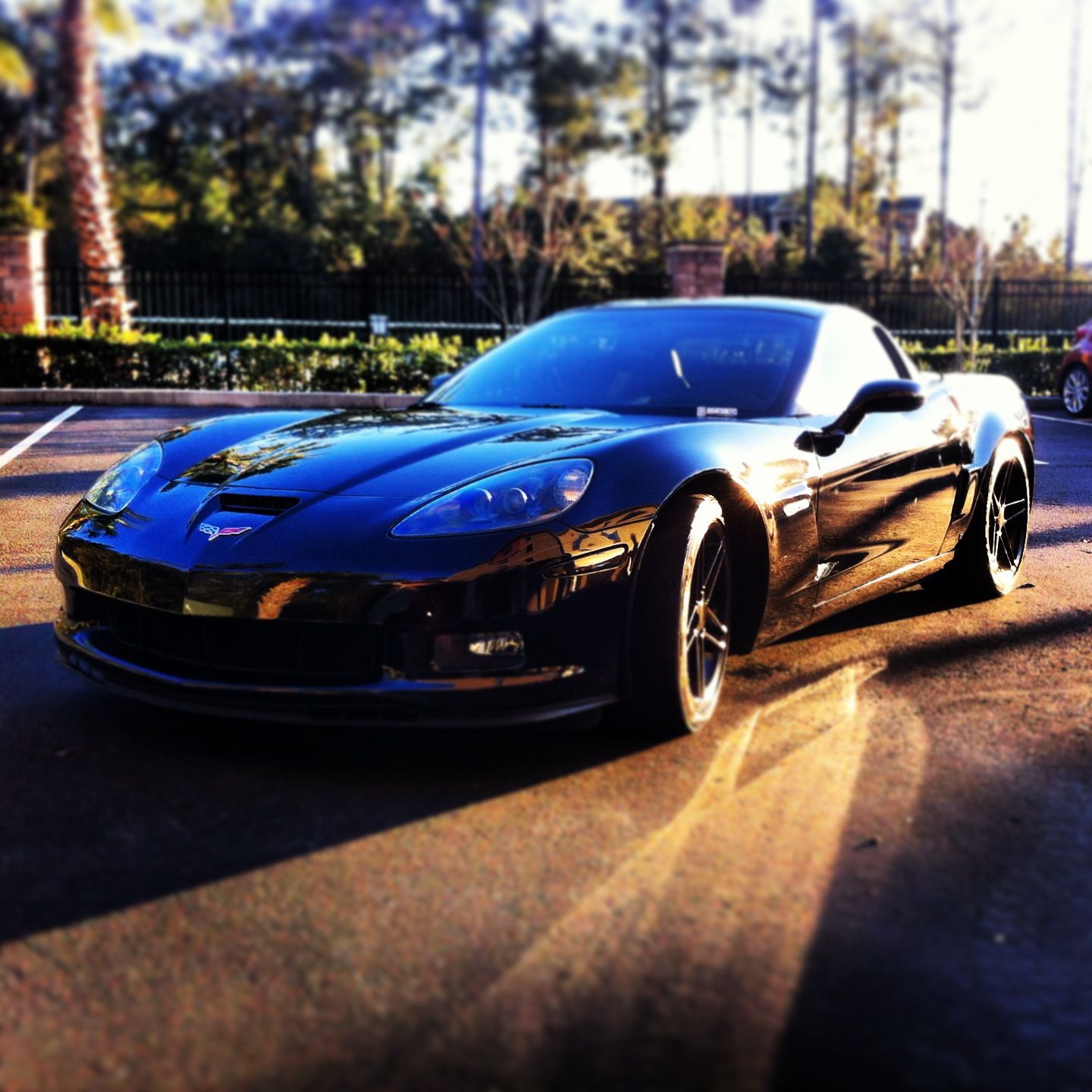 Profile of Nick Carver