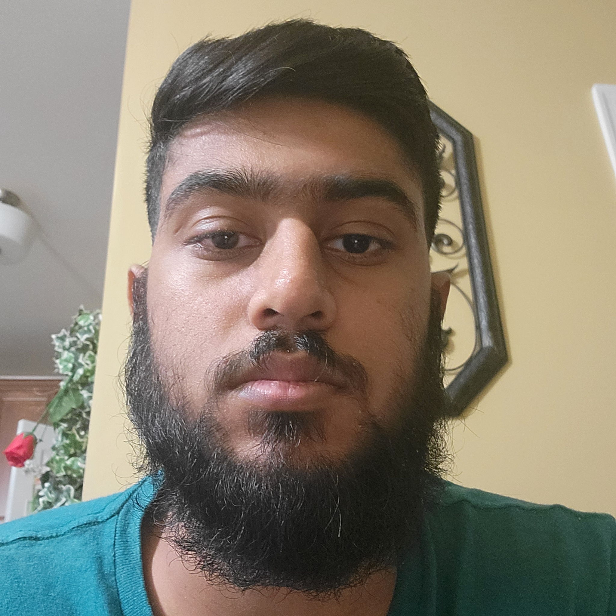 Profile of Hammad Shakeel