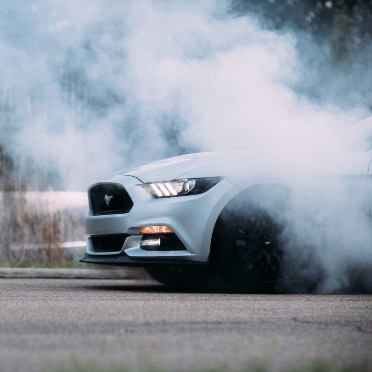 Profile of Tyler Fulgham