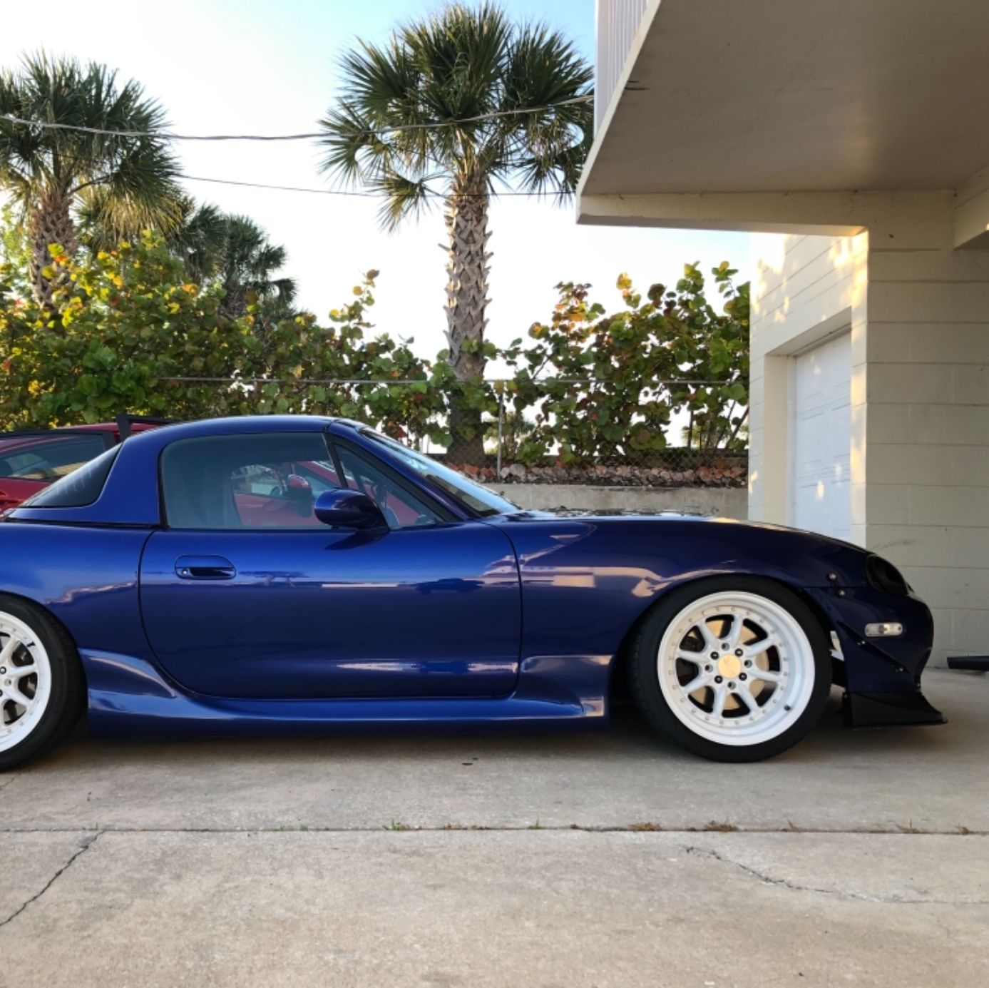 Profile of David Acevedo