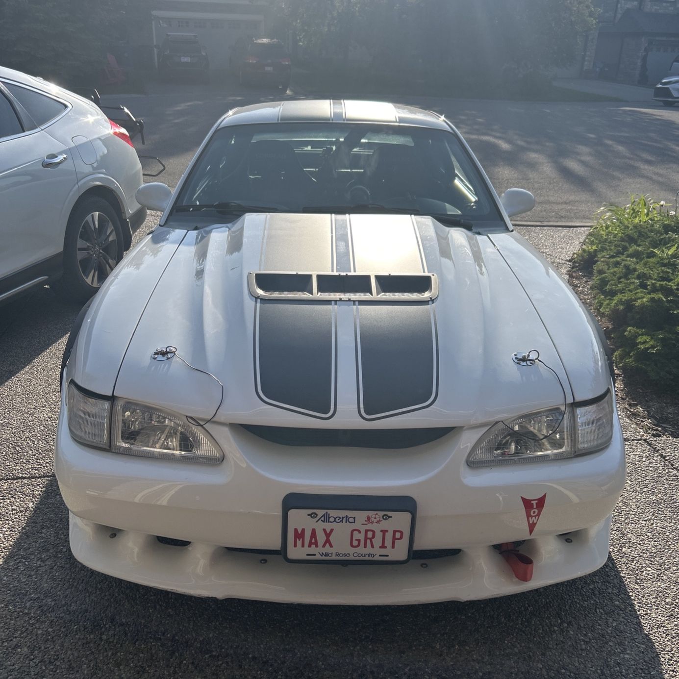 Profile of Steve Michaluk