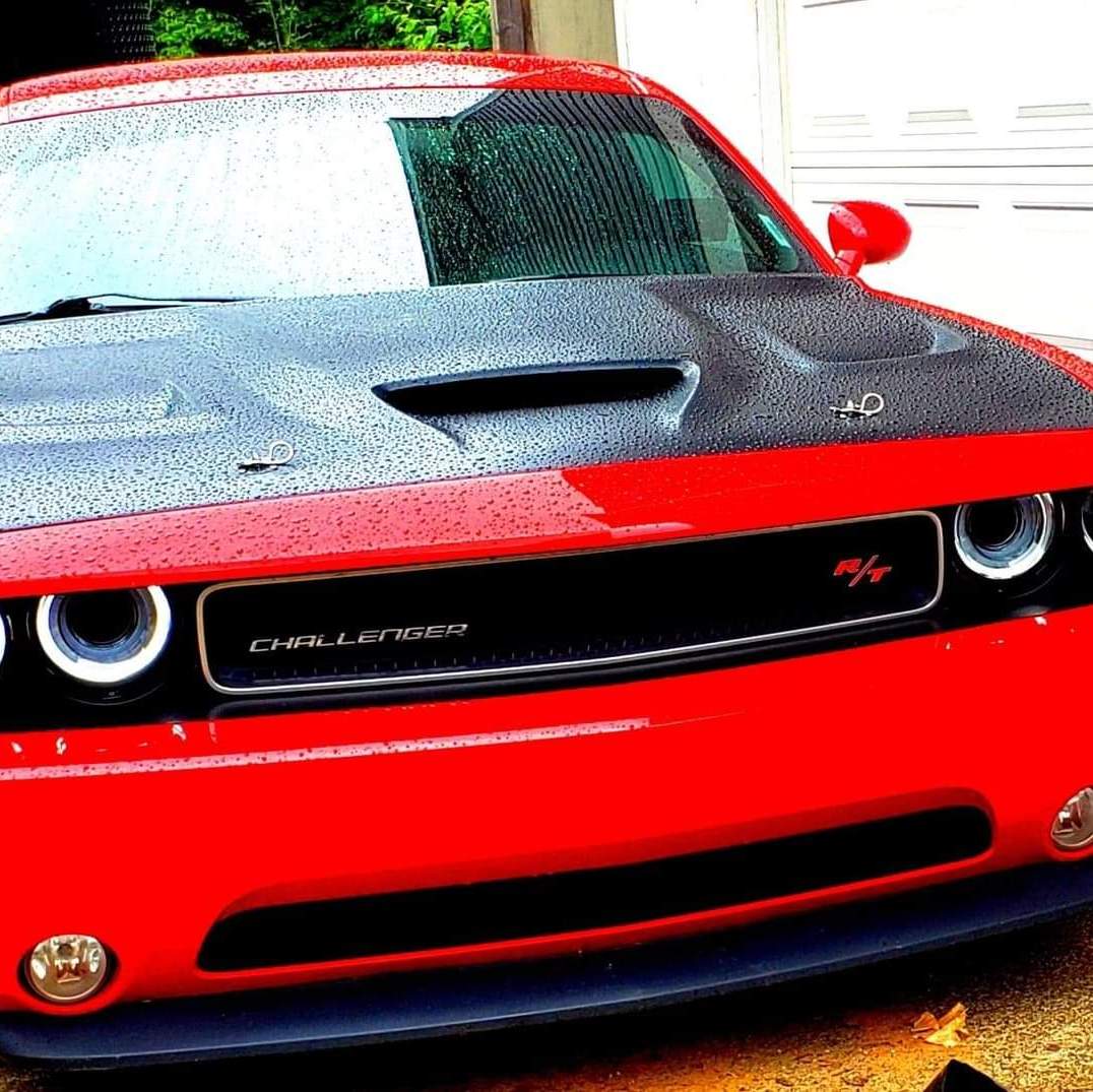 Profile of Brandon Kollman