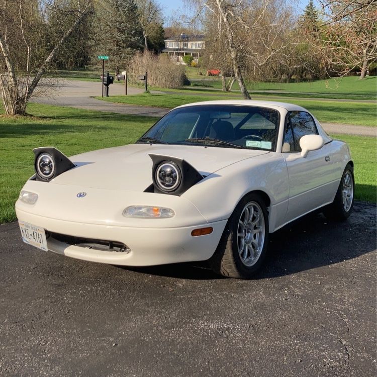 Profile of Mitchel Stanco