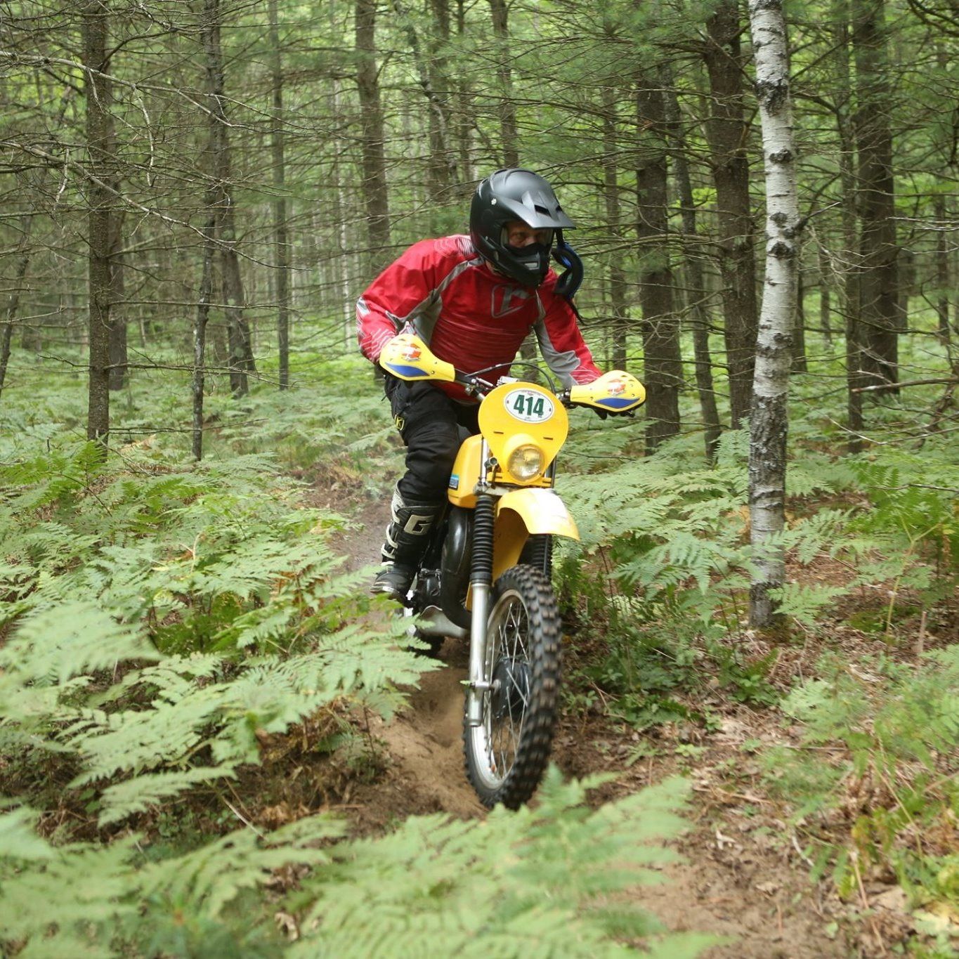 Profile of Alex Shull